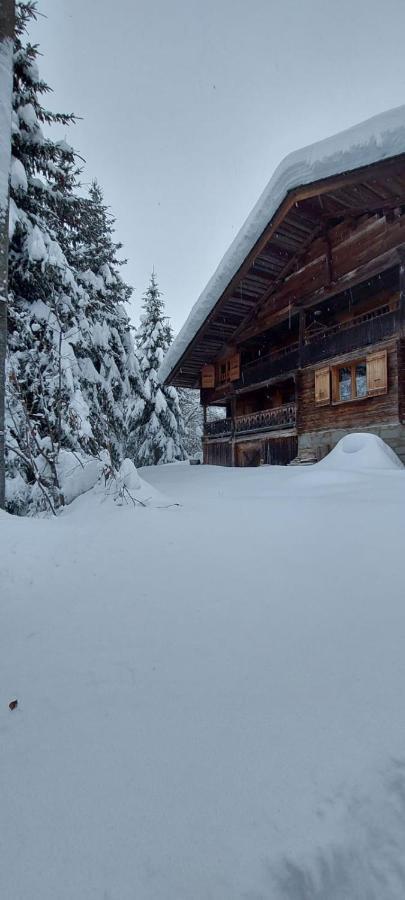 Charmieux Appartement En Chalet Typique Le Grand-Bornand Exteriér fotografie